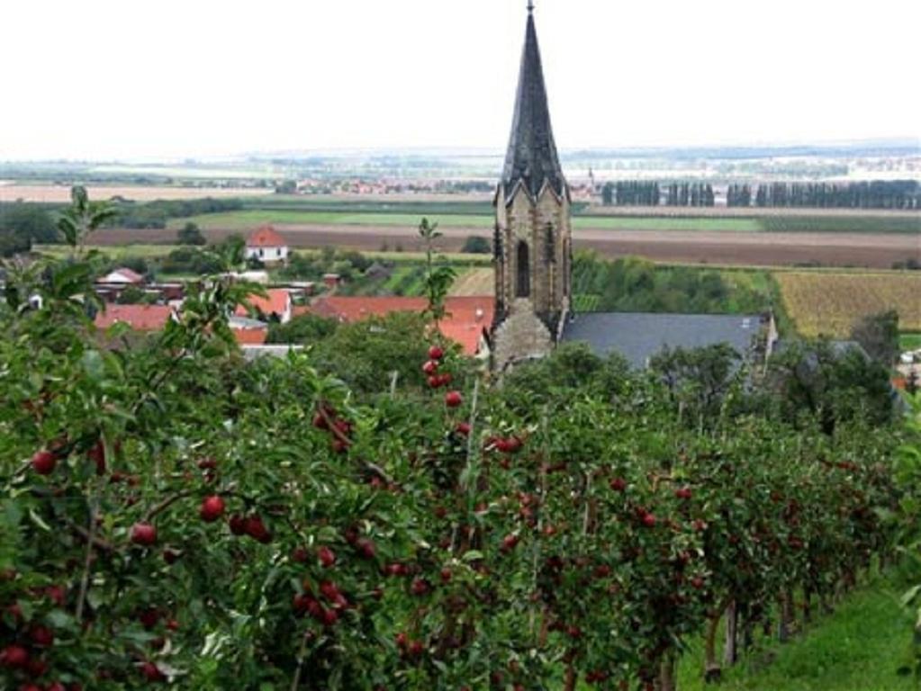 Gierstädt 祖尔菲斯特维斯旅馆酒店 外观 照片